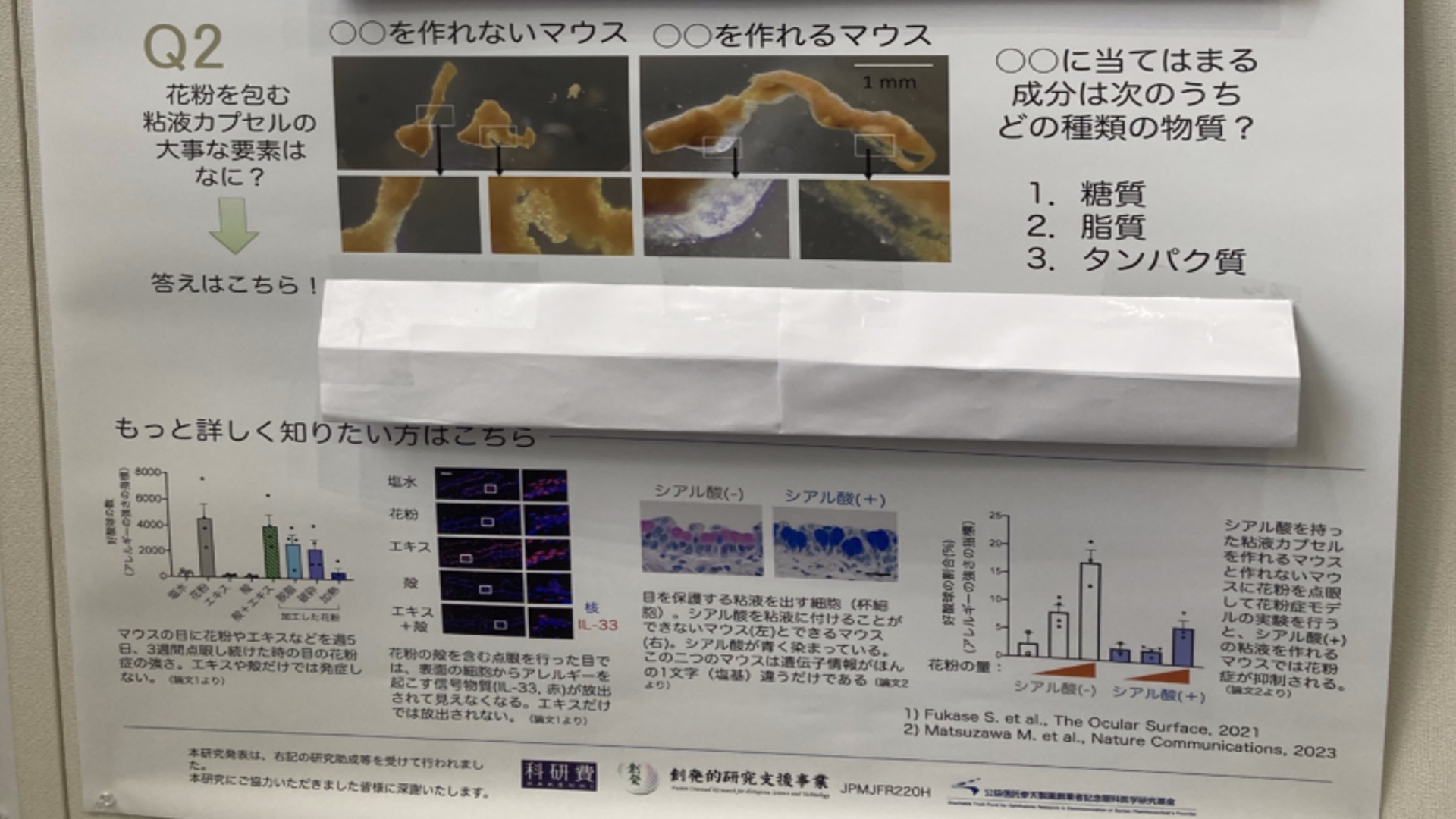 新着情報4.jpg