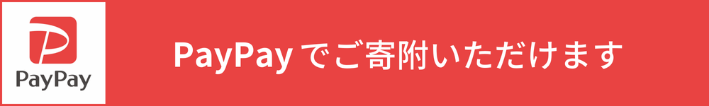 TOP_Banner_paypay.png
