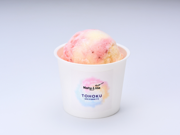 very berry mango.png