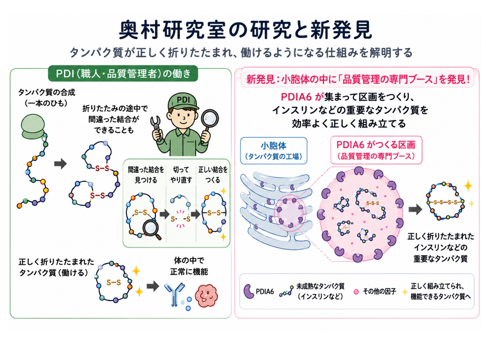 info_001_2.png
