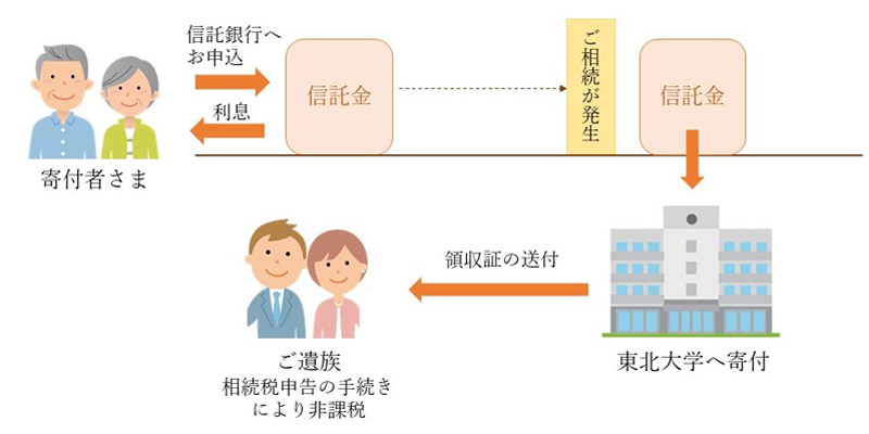 scheme-image-2.jpg