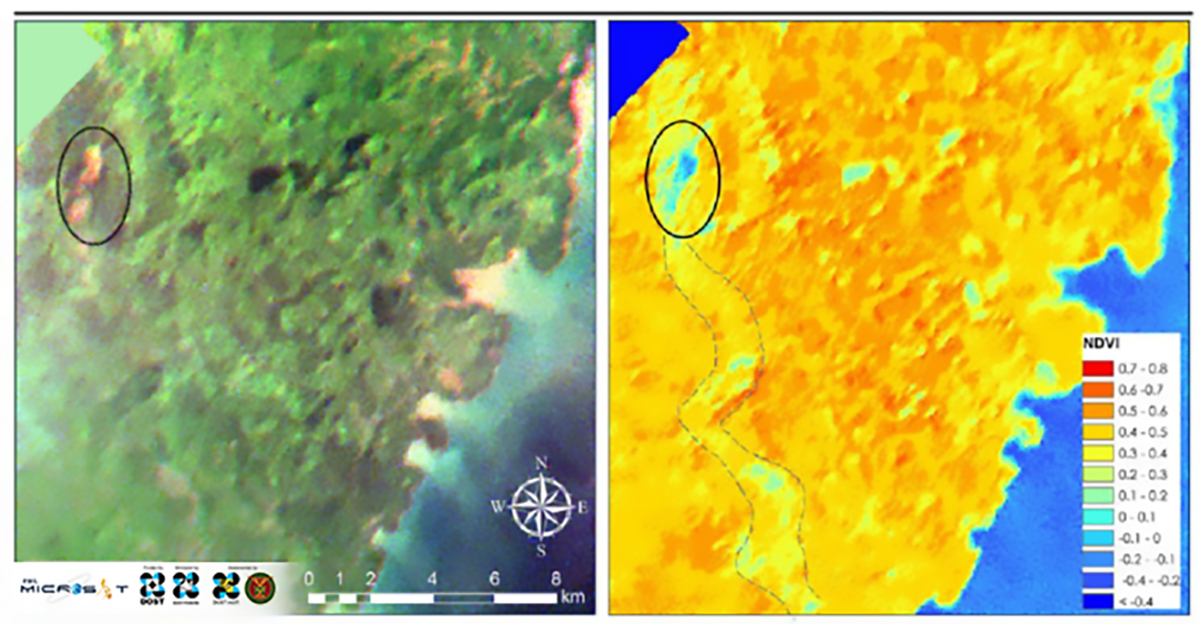 Diwata-1_SMI_12212016_Palawan-NDVI.jpg