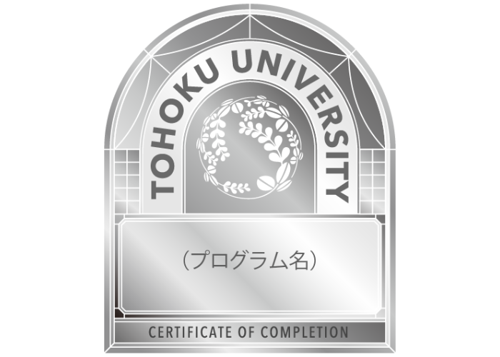MOOC_pj_02.png