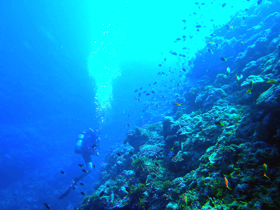 沖永良部3.jpg