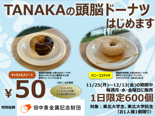 doughnut_20241119_03.png